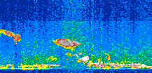 /calipso-imagery/data/BROWSE/production/V5-00/2007-04-04/2007-04-04_23-51-55_V5.00_3_thmb.png image missing