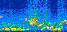 /calipso-imagery/data/BROWSE/production/V5-00/2007-04-05/2007-04-05_01-30-50_V5.00_3_thmb.png image missing