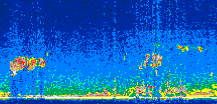 /calipso-imagery/data/BROWSE/production/V5-00/2007-04-05/2007-04-05_06-27-31_V5.00_2_thmb.png image missing