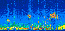 /calipso-imagery/data/BROWSE/production/V5-00/2007-04-05/2007-04-05_08-06-26_V5.00_2_thmb.png image missing