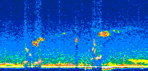 /calipso-imagery/data/BROWSE/production/V5-00/2007-04-05/2007-04-05_09-45-16_V5.00_2_thmb.png image missing
