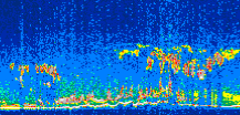 /calipso-imagery/data/BROWSE/production/V5-00/2007-04-05/2007-04-05_11-24-11_V5.00_2_thmb.png image missing