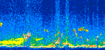 /calipso-imagery/data/BROWSE/production/V5-00/2007-04-05/2007-04-05_11-24-11_V5.00_3_thmb.png image missing