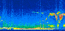 /calipso-imagery/data/BROWSE/production/V5-00/2007-04-05/2007-04-05_13-03-07_V5.00_2_thmb.png image missing