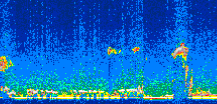 /calipso-imagery/data/BROWSE/production/V5-00/2007-04-06/2007-04-06_20-22-01_V5.00_2_thmb.png image missing