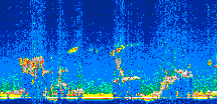 /calipso-imagery/data/BROWSE/production/V5-00/2007-04-06/2007-04-06_22-00-56_V5.00_2_thmb.png image missing