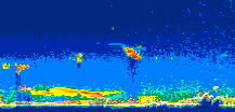 /calipso-imagery/data/BROWSE/production/V5-00/2007-04-07/2007-04-07_03-50-02_V5.00_2_thmb.png image missing