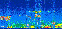 /calipso-imagery/data/BROWSE/production/V5-00/2007-04-07/2007-04-07_04-36-27_V5.00_2_thmb.png image missing