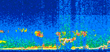 /calipso-imagery/data/BROWSE/production/V5-00/2007-04-07/2007-04-07_14-29-49_V5.00_3_thmb.png image missing