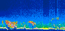 /calipso-imagery/data/BROWSE/production/V5-00/2007-04-07/2007-04-07_17-47-39_V5.00_1_thmb.png image missing