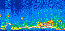 /calipso-imagery/data/BROWSE/production/V5-00/2007-04-07/2007-04-07_17-47-39_V5.00_3_thmb.png image missing