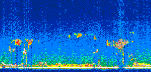 /calipso-imagery/data/BROWSE/production/V5-00/2007-04-07/2007-04-07_21-05-24_V5.00_2_thmb.png image missing