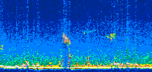 /calipso-imagery/data/BROWSE/production/V5-00/2007-04-08/2007-04-08_00-23-10_V5.00_2_thmb.png image missing