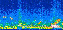 /calipso-imagery/data/BROWSE/production/V5-00/2007-04-08/2007-04-08_00-23-10_V5.00_3_thmb.png image missing