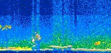 /calipso-imagery/data/BROWSE/production/V5-00/2007-04-08/2007-04-08_18-31-02_V5.00_3_thmb.png image missing