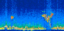 /calipso-imagery/data/BROWSE/production/V5-00/2007-04-10/2007-04-10_00-11-06_V5.00_2_thmb.png image missing