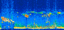 /calipso-imagery/data/BROWSE/production/V5-00/2007-04-10/2007-04-10_01-49-56_V5.00_2_thmb.png image missing