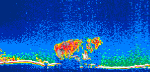 /calipso-imagery/data/BROWSE/production/V5-00/2007-04-10/2007-04-10_06-46-37_V5.00_1_thmb.png image missing