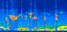 /calipso-imagery/data/BROWSE/production/V5-00/2007-04-10/2007-04-10_08-25-32_V5.00_2_thmb.png image missing