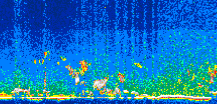 /calipso-imagery/data/BROWSE/production/V5-00/2007-04-10/2007-04-10_16-39-58_V5.00_3_thmb.png image missing