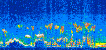/calipso-imagery/data/BROWSE/production/V5-00/2007-04-10/2007-04-10_18-18-53_V5.00_2_thmb.png image missing
