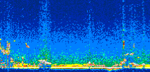 /calipso-imagery/data/BROWSE/production/V5-00/2007-04-10/2007-04-10_21-36-39_V5.00_2_thmb.png image missing
