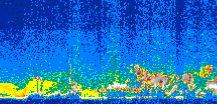/calipso-imagery/data/BROWSE/production/V5-00/2007-04-22/2007-04-22_08-51-29_V5.00_3_thmb.png image missing