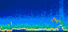 /calipso-imagery/data/BROWSE/production/V5-00/2007-04-22/2007-04-22_17-05-55_V5.00_1_thmb.png image missing