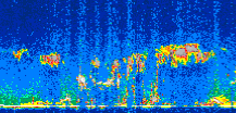 /calipso-imagery/data/BROWSE/production/V5-00/2007-05-20/2007-05-20_04-21-53_V5.00_2_thmb.png image missing