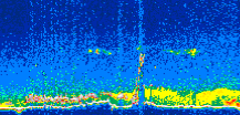 /calipso-imagery/data/BROWSE/production/V5-00/2007-05-20/2007-05-20_10-57-29_V5.00_2_thmb.png image missing