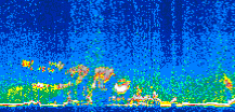 /calipso-imagery/data/BROWSE/production/V5-00/2007-05-20/2007-05-20_12-36-19_V5.00_3_thmb.png image missing