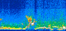 /calipso-imagery/data/BROWSE/production/V5-00/2007-05-20/2007-05-20_15-54-05_V5.00_3_thmb.png image missing