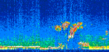/calipso-imagery/data/BROWSE/production/V5-00/2007-05-20/2007-05-20_19-11-55_V5.00_2_thmb.png image missing
