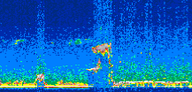 /calipso-imagery/data/BROWSE/production/V5-00/2007-05-20/2007-05-20_22-29-41_V5.00_2_thmb.png image missing