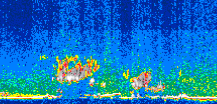 /calipso-imagery/data/BROWSE/production/V5-00/2007-05-20/2007-05-20_22-29-41_V5.00_3_thmb.png image missing