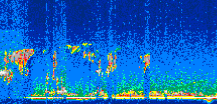 /calipso-imagery/data/BROWSE/production/V5-00/2007-06-01/2007-06-01_01-29-25_V5.00_2_thmb.png image missing