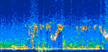 /calipso-imagery/data/BROWSE/production/V5-00/2007-06-01/2007-06-01_04-47-10_V5.00_2_thmb.png image missing