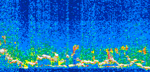 /calipso-imagery/data/BROWSE/production/V5-00/2007-06-01/2007-06-01_04-47-10_V5.00_3_thmb.png image missing