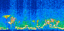 /calipso-imagery/data/BROWSE/production/V5-00/2007-06-01/2007-06-01_14-40-27_V5.00_3_thmb.png image missing