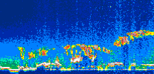 /calipso-imagery/data/BROWSE/production/V5-00/2007-06-01/2007-06-01_16-19-22_V5.00_1_thmb.png image missing