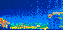 /calipso-imagery/data/BROWSE/production/V5-00/2007-06-01/2007-06-01_17-58-17_V5.00_1_thmb.png image missing