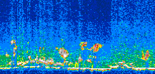 /calipso-imagery/data/BROWSE/production/V5-00/2007-06-01/2007-06-01_19-37-07_V5.00_3_thmb.png image missing