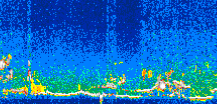 /calipso-imagery/data/BROWSE/production/V5-00/2007-06-04/2007-06-04_05-18-09_V5.00_3_thmb.png image missing