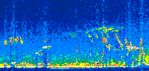 /calipso-imagery/data/BROWSE/production/V5-00/2007-06-04/2007-06-04_08-35-54_V5.00_2_thmb.png image missing