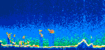 /calipso-imagery/data/BROWSE/production/V5-00/2007-06-04/2007-06-04_18-29-14_V5.00_1_thmb.png image missing