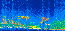 /calipso-imagery/data/BROWSE/production/V5-00/2007-06-04/2007-06-04_20-08-09_V5.00_3_thmb.png image missing