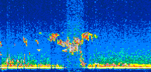 /calipso-imagery/data/BROWSE/production/V5-00/2007-06-06/2007-06-06_00-09-12_V5.00_2_thmb.png image missing