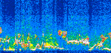 /calipso-imagery/data/BROWSE/production/V5-00/2007-06-06/2007-06-06_03-26-58_V5.00_3_thmb.png image missing