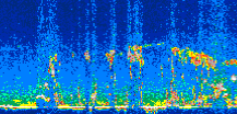 /calipso-imagery/data/BROWSE/production/V5-00/2007-06-06/2007-06-06_05-05-50_V5.00_2_thmb.png image missing