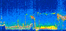 /calipso-imagery/data/BROWSE/production/V5-00/2007-06-06/2007-06-06_18-16-53_V5.00_2_thmb.png image missing